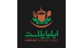  ایلیا پلاست